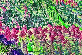L 046E